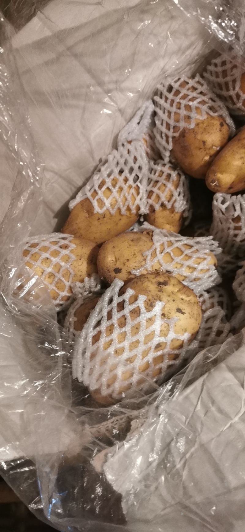 精品土豆，大量供应