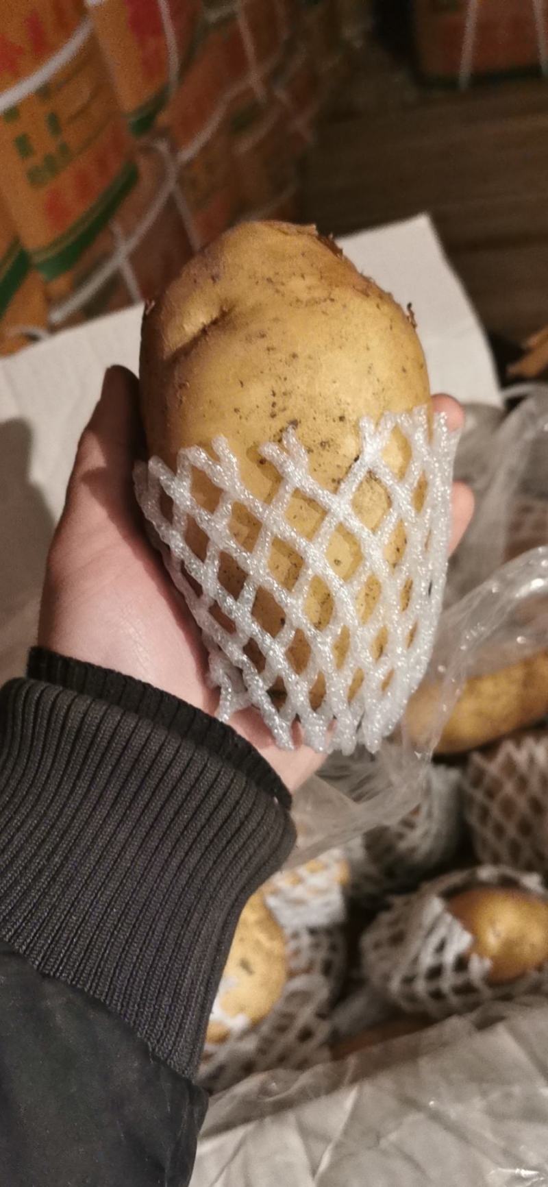 精品土豆，大量供应