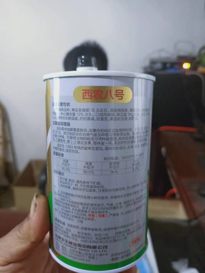 西农八号西瓜苗直播苗/嫁接苗中晚熟品种瓜苗基地直发
