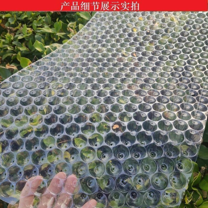 育秧盘人工抛秧手抛盘塑料透明水稻育苗盘