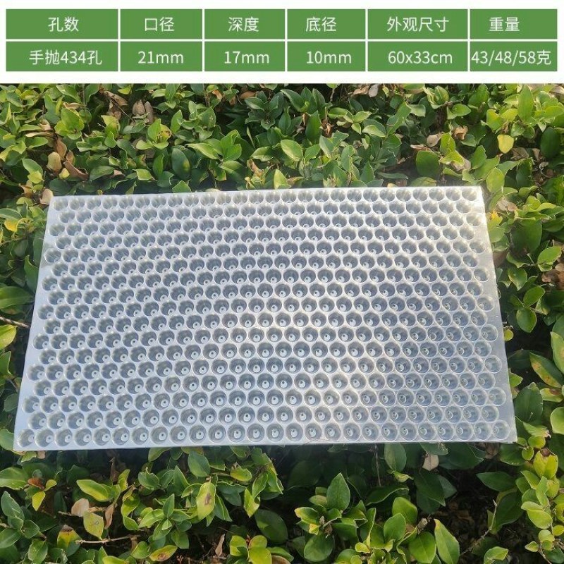 育秧盘人工抛秧手抛盘塑料透明水稻育苗盘