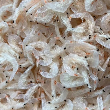 深海无盐虾皮，烘干优质虾皮，一手货源，欢迎客户选购