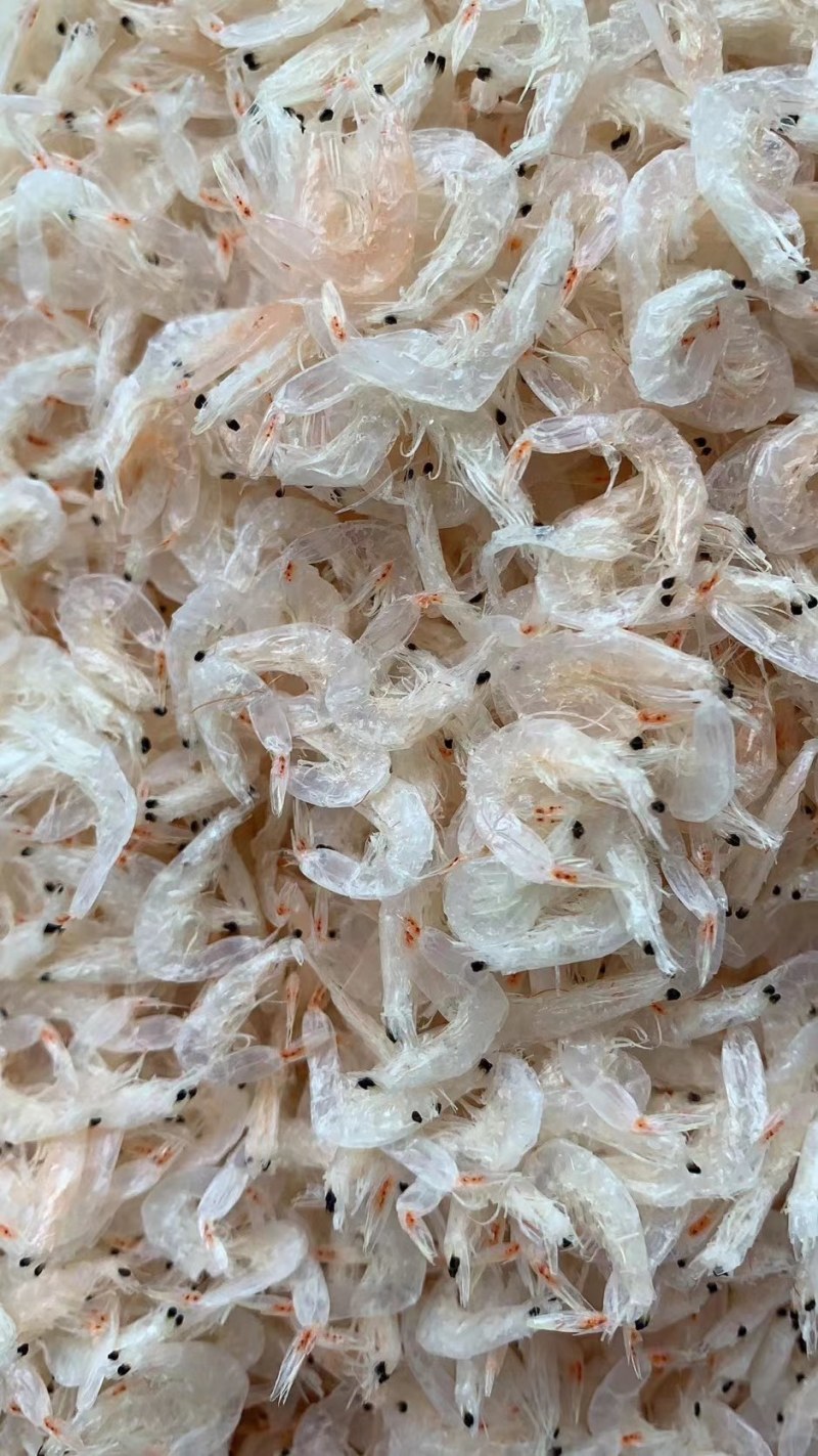 深海无盐虾皮，烘干优质虾皮，一手货源，欢迎客户选购