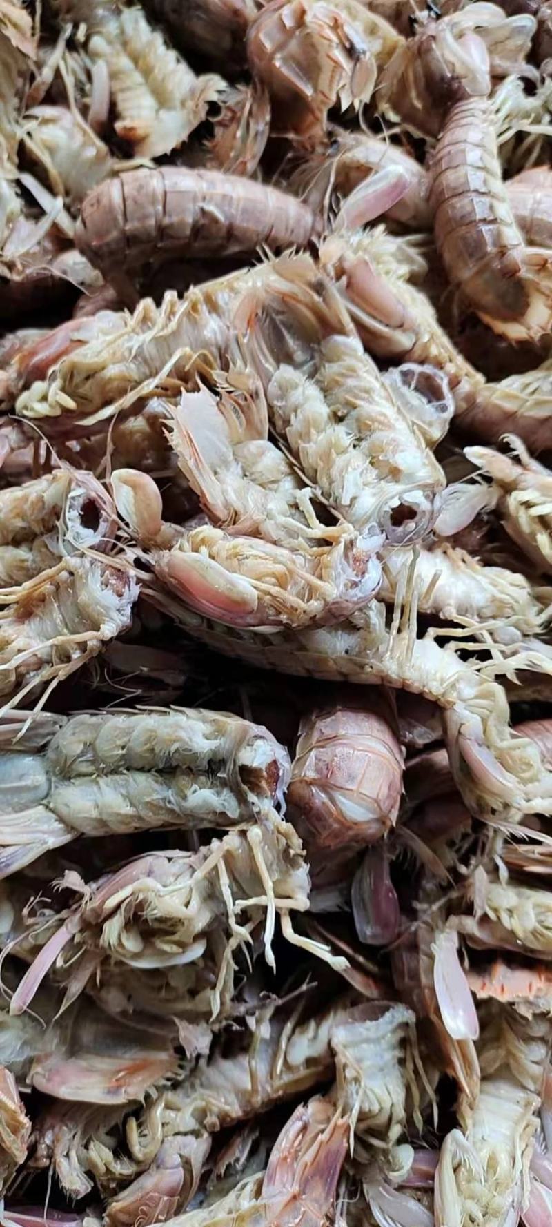 自家渔船捕捞——皮皮虾