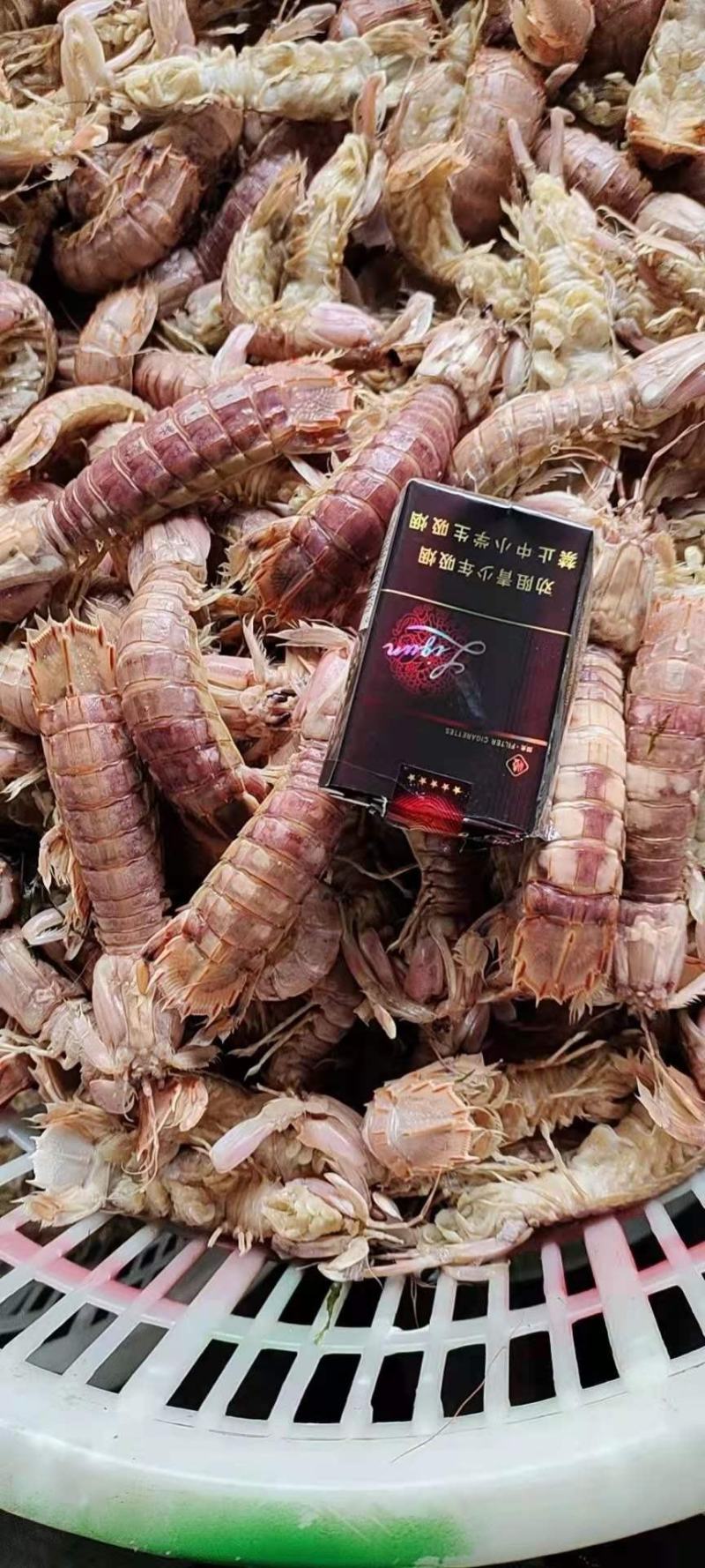 自家渔船捕捞——皮皮虾