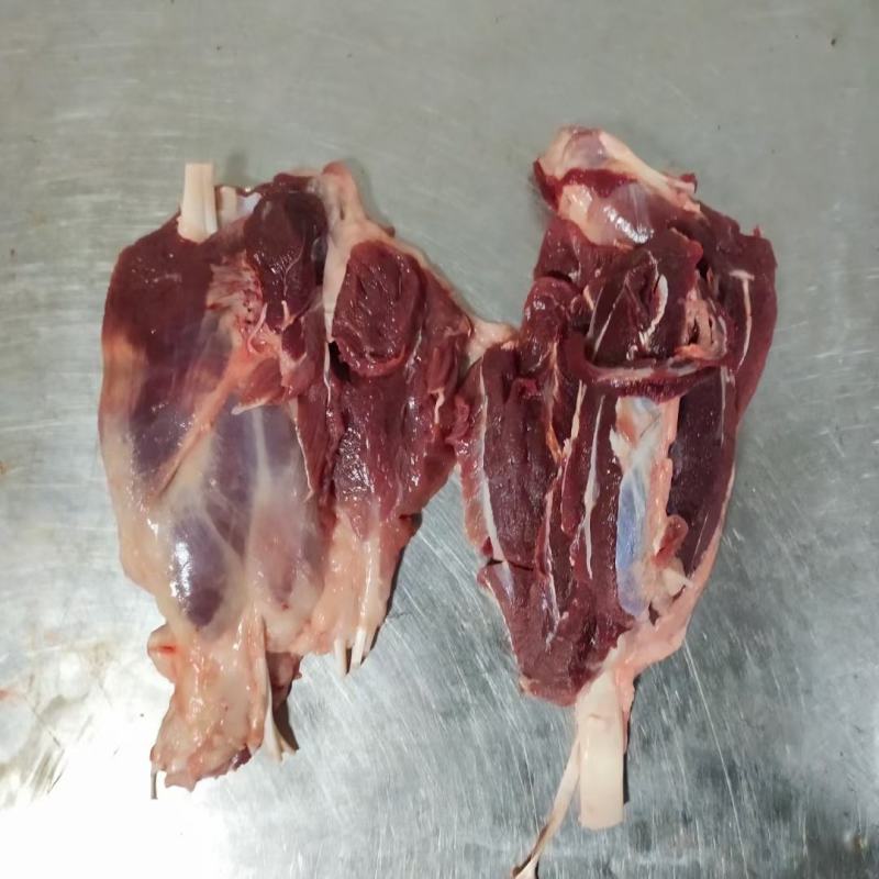 山东母猪负腱，中腱品质保证产地直发可视频看货欢迎咨询
