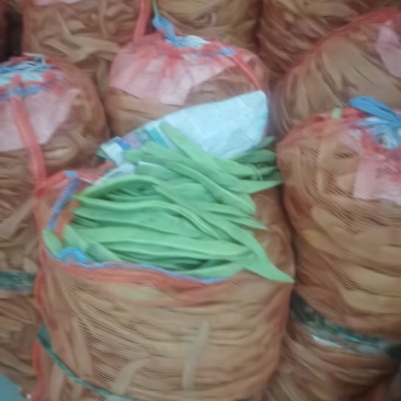 扁青芸豆，通货赶集零卖的