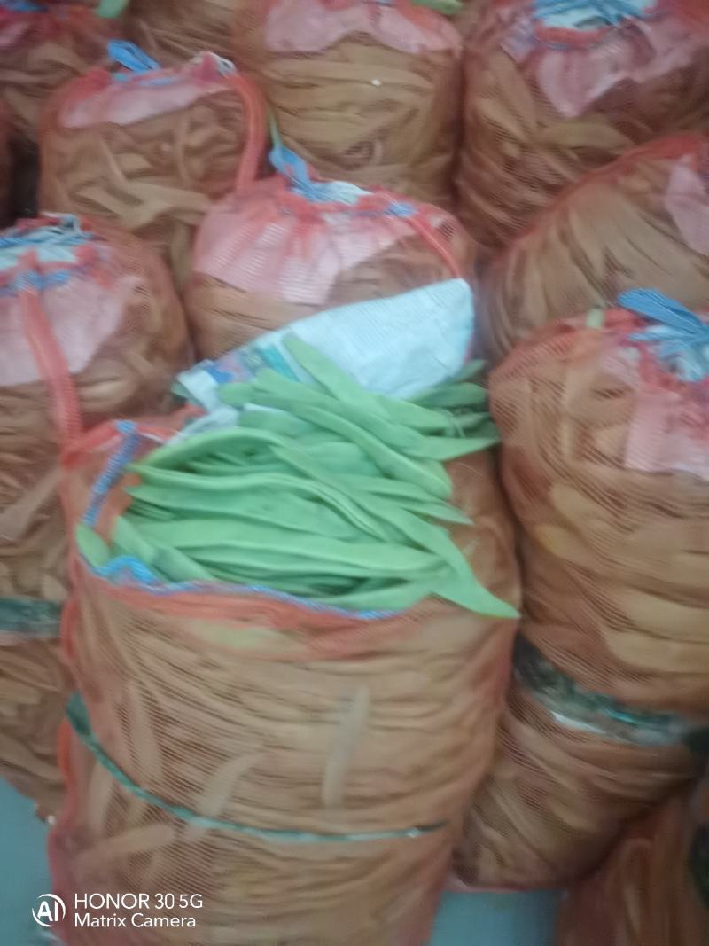 扁青芸豆，通货赶集零卖的