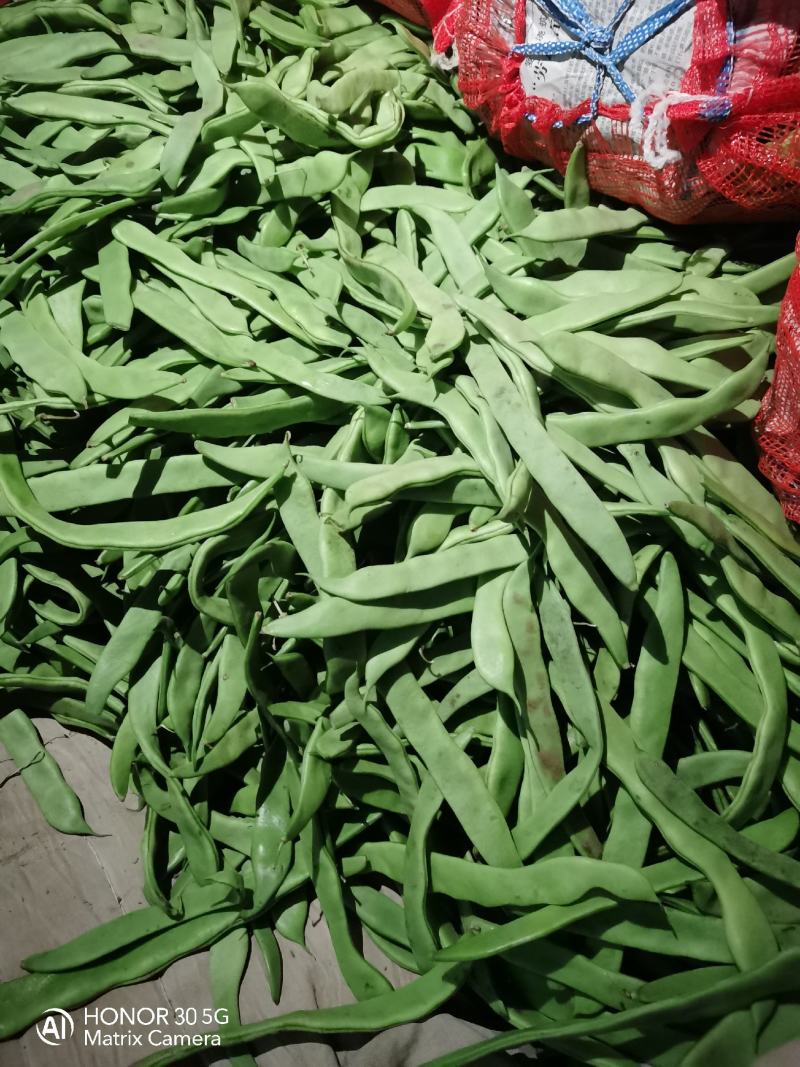 扁青芸豆，通货赶集零卖的