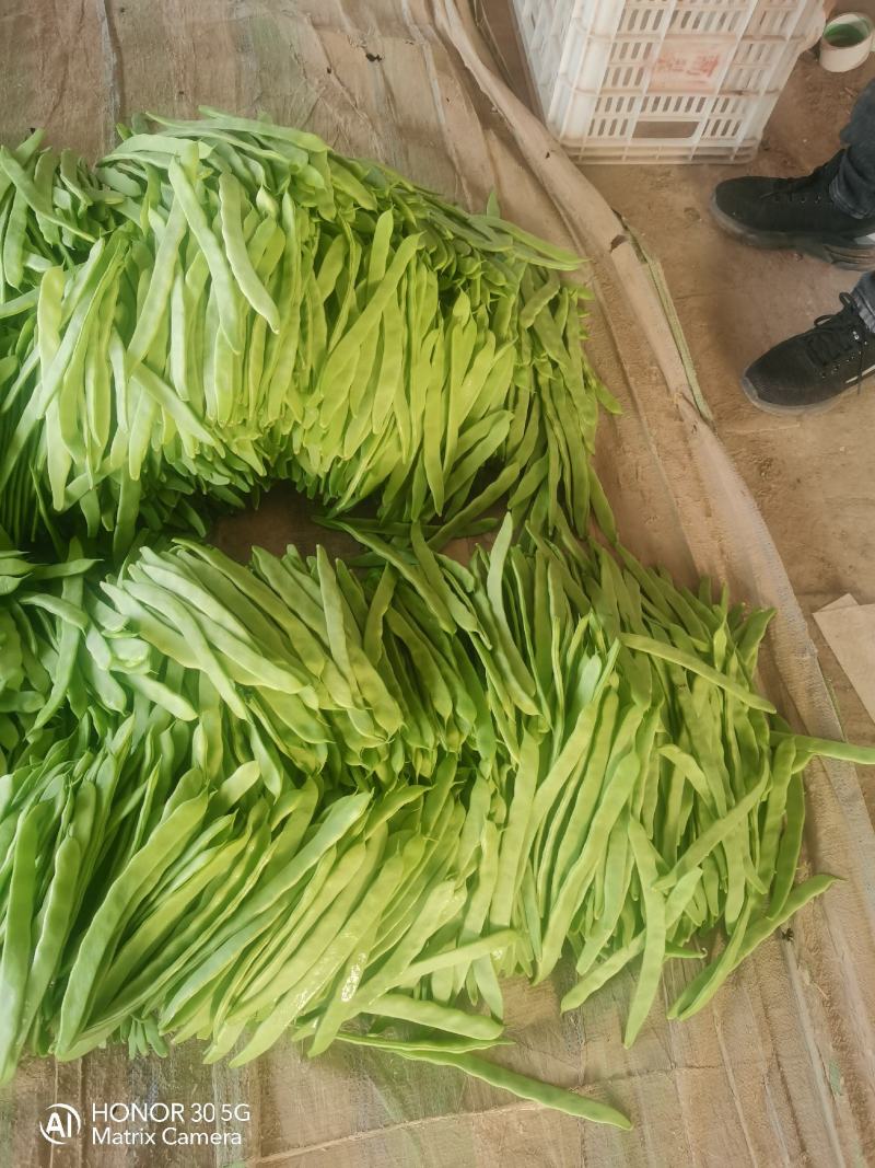 豆类扁豆，颜色绿，卖相好，品质好