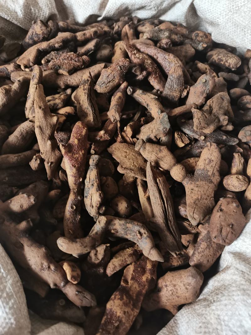 骨碎补申姜毛姜爬岩姜无硫各种中药材