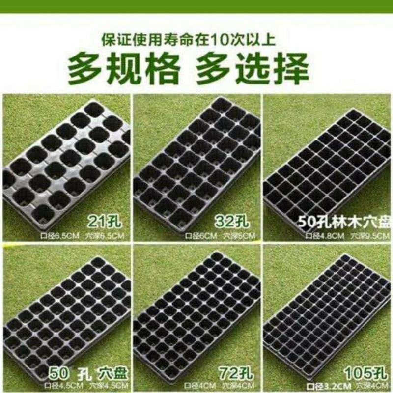 育苗盘穴盘辣椒茄子黄瓜草莓厂家直销（包运费）