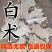 大货批发安徽产地直销白术片白术白术颗粒投料不包邮