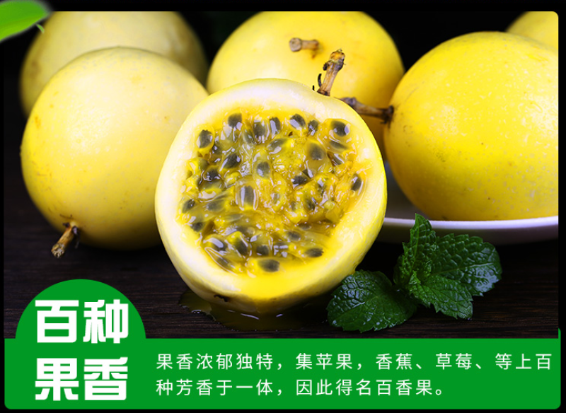 黄金百香果苗新品种维蜜纯甜嫁接苗爬藤季果树苗当年结果盆