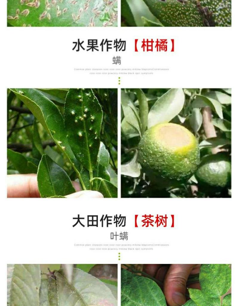 双吉基得石硫石合剂果树腐烂病叶螨介壳虫白粉病杀菌螨清园