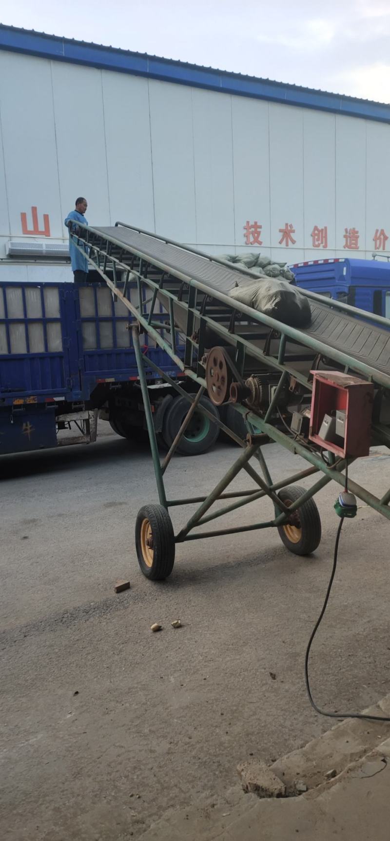 河南开封精品青萝卜大量上市，电商市场超市代发全国各地