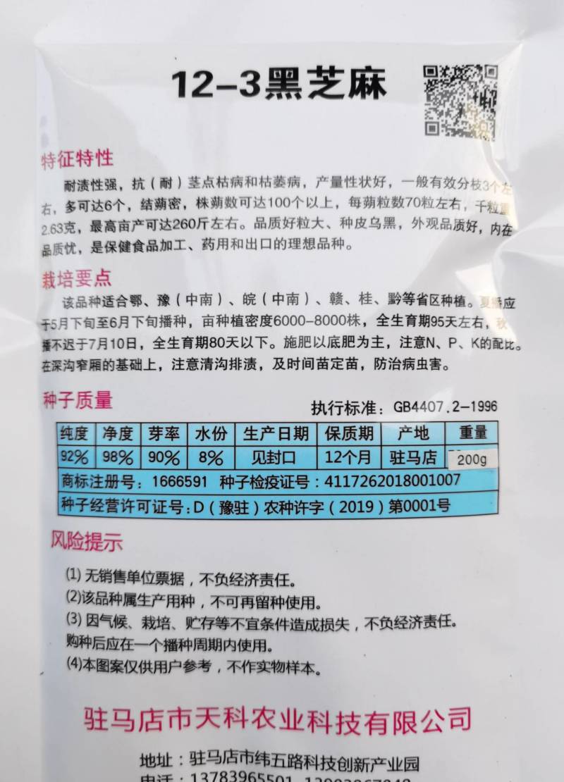黑芝麻种子12-3提纯黑芝麻种子高产高油黑芝麻种子