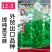 黑芝麻种子12-3提纯黑芝麻种子高产高油黑芝麻种子