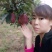 甘肃天水花牛苹果树苗，大量现货速发，成活率高欢迎选购