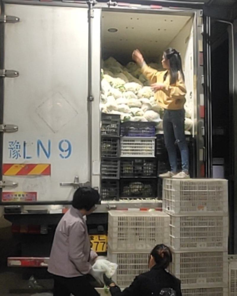 福建青梗有机花，手头上货源充足，以诚信为主，专业代办。