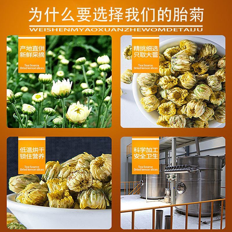 中药材菊花250克起包邮野生安徽亳菊花