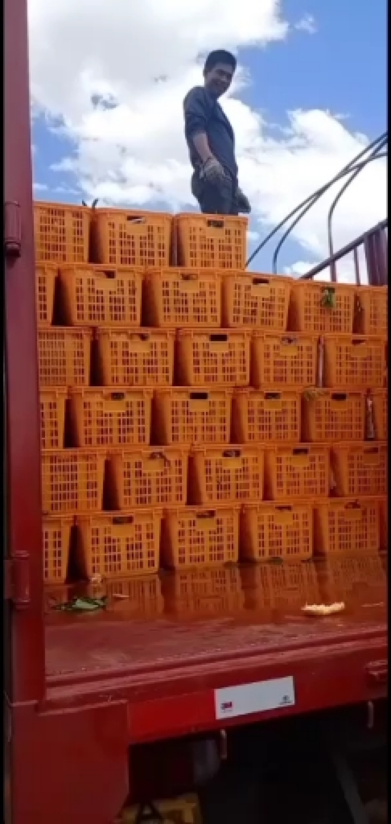 云南晩芦椪柑，上市了谢谢订货了，朋友们快点来看货了！