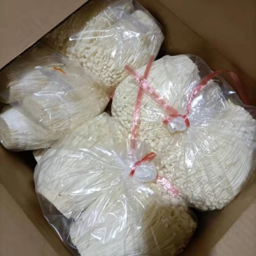 金针菇鲜品以未开伞、鲜嫩、菌柄长15厘米左右，均匀整齐，