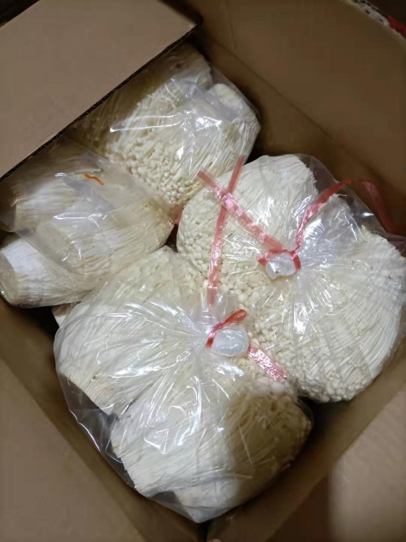 金针菇鲜品以未开伞、鲜嫩、菌柄长15厘米左右，均匀整齐，