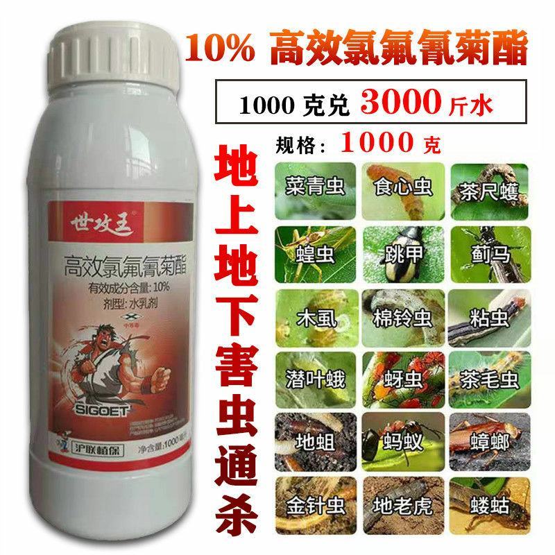 沪联高效氯氟氰菊酯10蚜虫木虱食心虫蓟马地老虎杀虫剂农药
