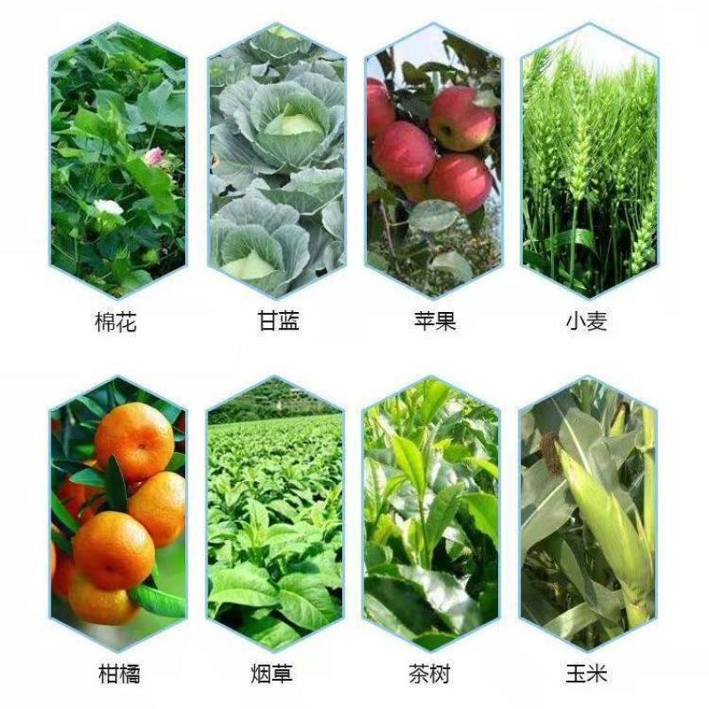 沪联高效氯氟氰菊酯10蚜虫木虱食心虫蓟马地老虎杀虫剂农药
