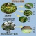 沪联黑钻氯氰毒蚧壳虫介壳虫钻心虫杀地下害虫杀虫农药乐斯本