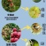 沪联黑钻氯氰毒蚧壳虫介壳虫钻心虫杀地下害虫杀虫农药乐斯本