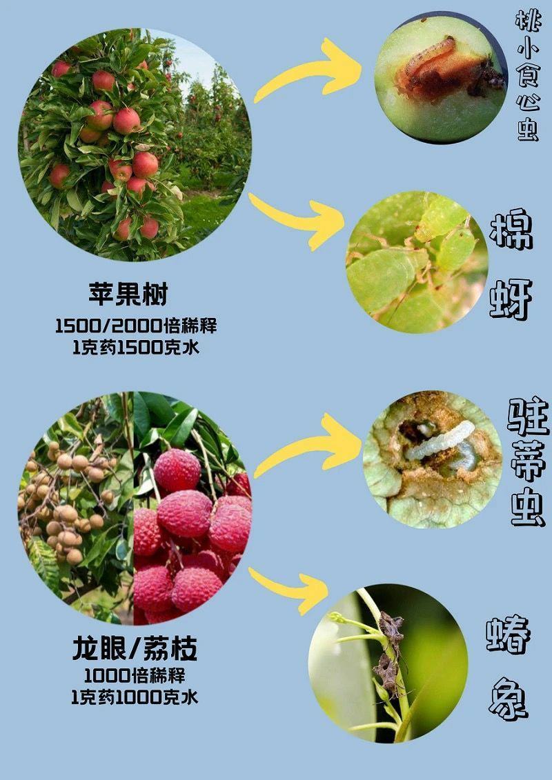 沪联黑钻氯氰毒蚧壳虫介壳虫钻心虫杀地下害虫杀虫农药乐斯本
