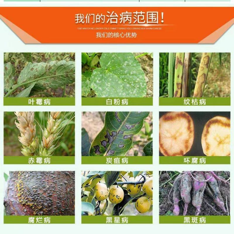 沪联正巴托甲基硫菌灵炭疽黑星白粉病叶霉病纹枯病杀菌剂农药