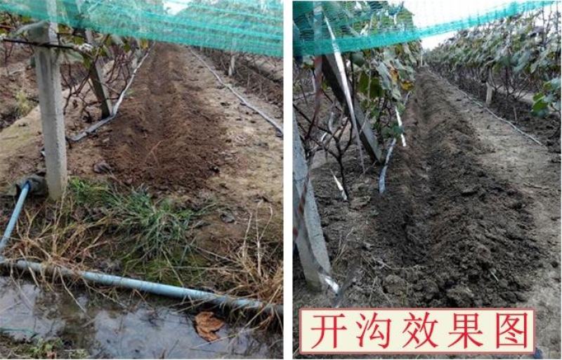 (包邮)金宇轻型微耕机19公斤老人微耕机轻便省油高效