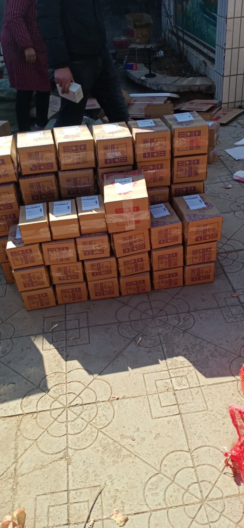 红葱头珠葱头洋葱头支持电商一件代发