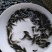 海南一号罗非鱼苗，恒生一号罗非鱼苗，抗寒罗非苗脆肉罗非苗