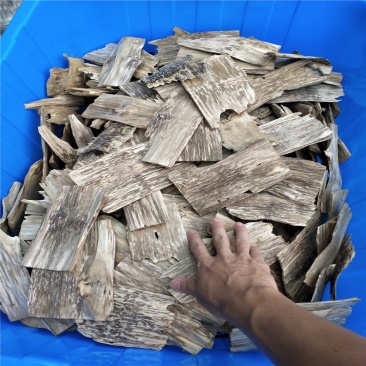 沉香各种规格含量合格，可药检，正品沉香量大从优