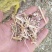 打量出售玉米秸秆揉丝除尘出土没有膜，质量好放心采购，安全