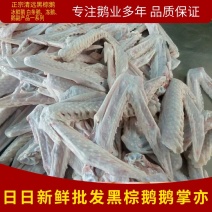 【珍品】鹅掌厂家直发一手货源保质保量全国发货