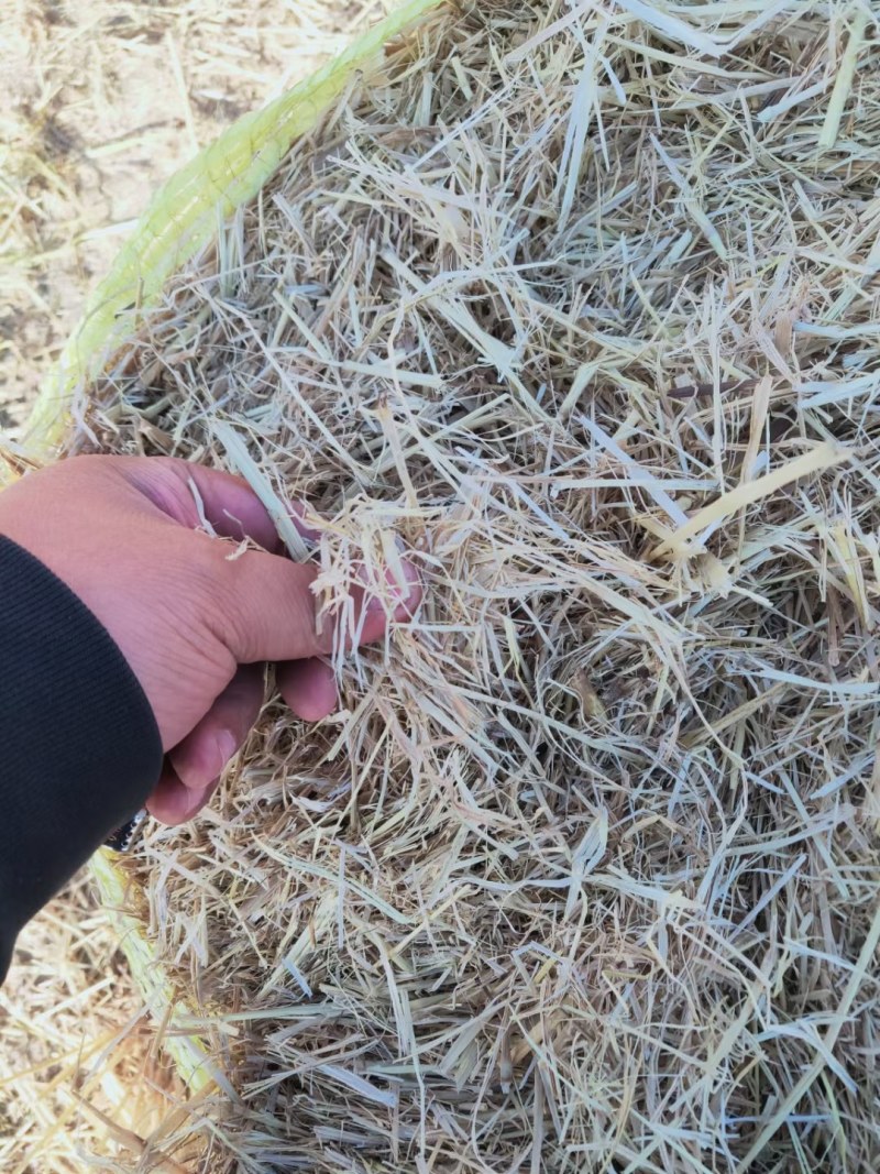 出售稻草揉丝小方包过夏草，无尘无膜质量上品联系我