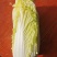 娃娃菜，大娃娃菜，小娃娃菜，叶菜，超市**