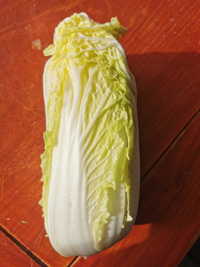 娃娃菜，大娃娃菜，小娃娃菜，叶菜，超市**