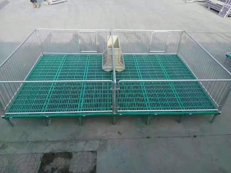 养殖设备厂家直销产保一体产床质量保证量大从优