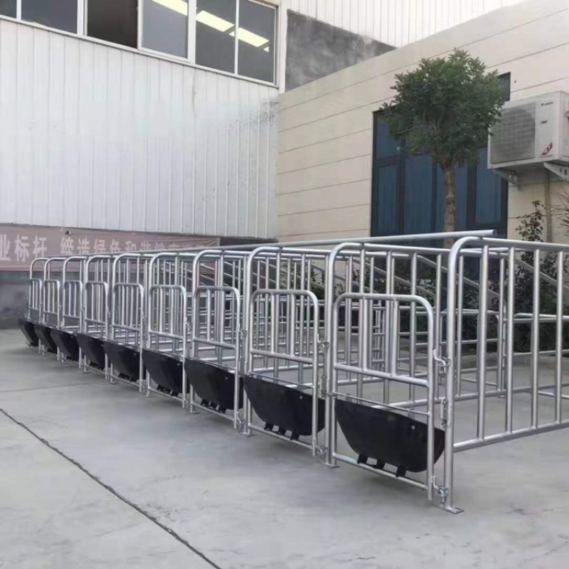 养殖设备厂家直销产保一体产床质量保证量大从优