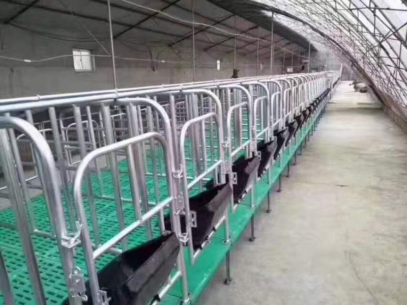 养殖设备厂家直销产保一体质量保证量大从优全国发货