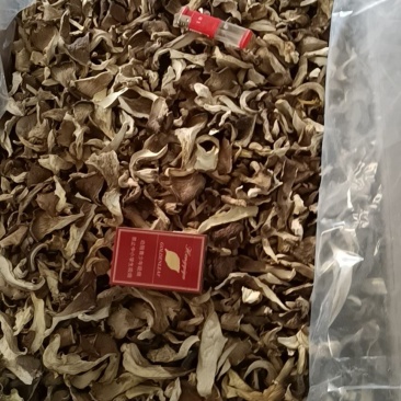 干平菇，大量出售，现货，条块都有