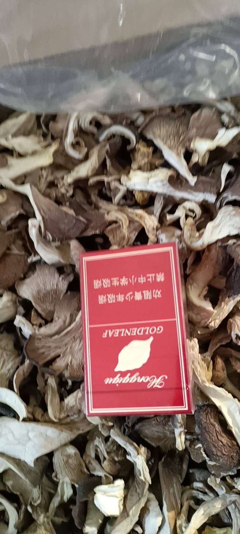干平菇，大量出售，现货，条块都有