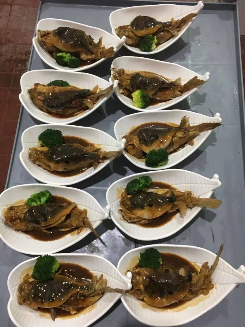 河豚鱼暗纹河豚鱼杀好去脏半斤左右一条证件齐全