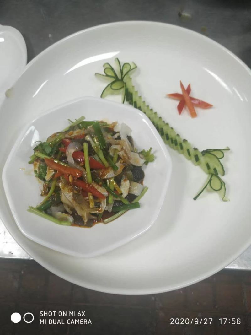 河豚鱼暗纹河豚鱼杀好去脏半斤左右一条证件齐全